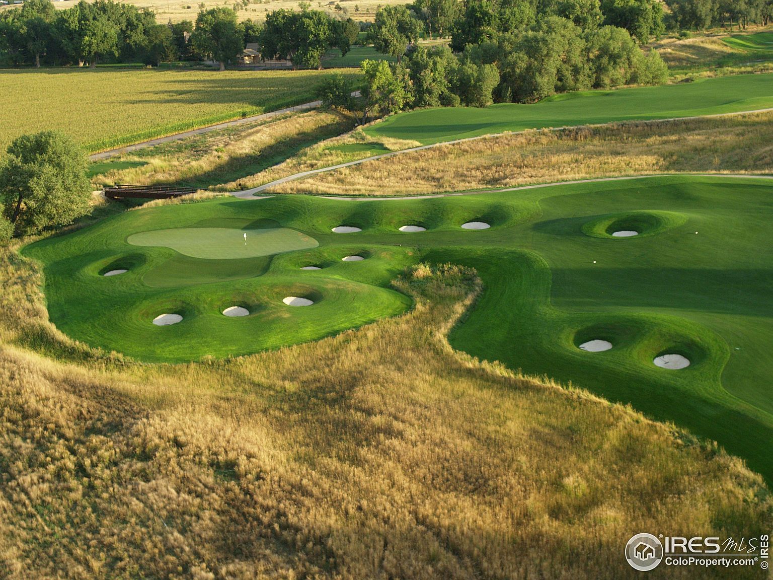 4030 Ridgeline Dr Timnath, CO 80547  | Single Family