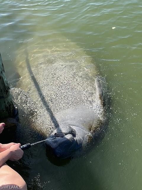 239 Ibis St Fort Myers Beach, FL 33931  | Single Family