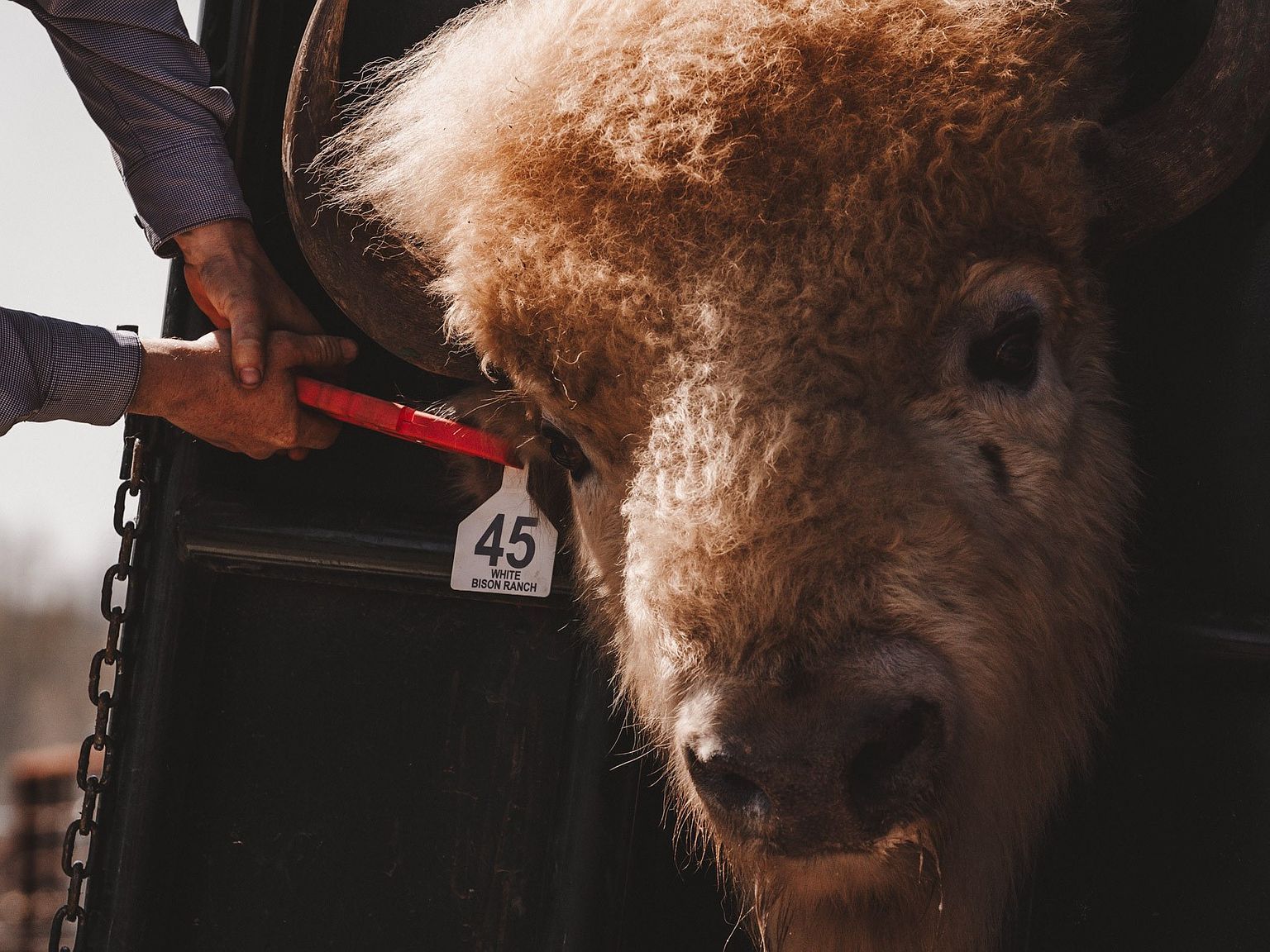 6700 Valley View Dr Athens, TX 75752  | Single Family