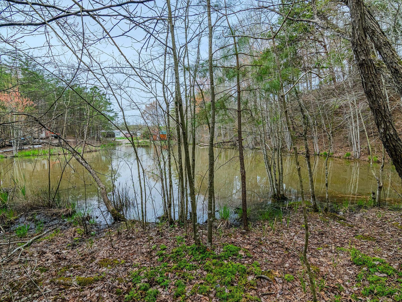 0 Farley Rd East Bernstadt, KY 40729  | Land/Lot