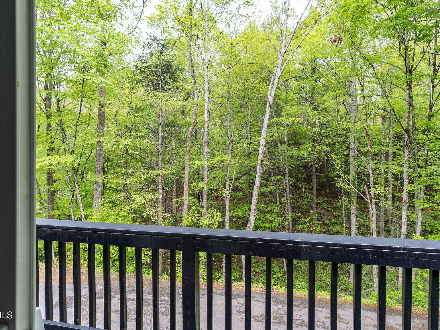 388 Crestwood Dr Mountain City, TN 37683 | Single Family