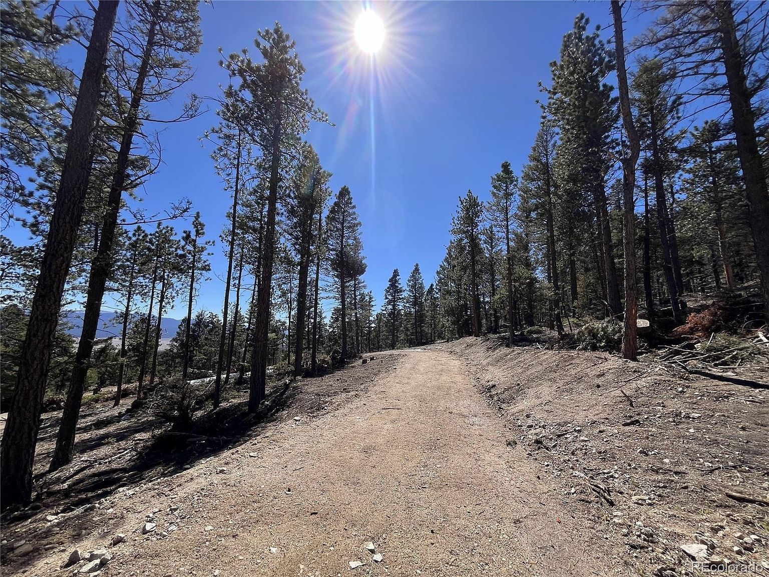 16872 County Road 325 Buena Vista, CO 81211  | Land/Lot