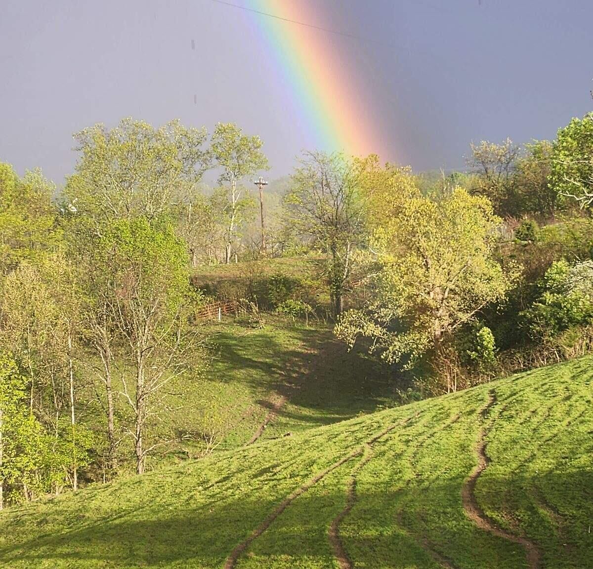 161 Central Pike Harrodsburg, KY 40330  | Land/Lot