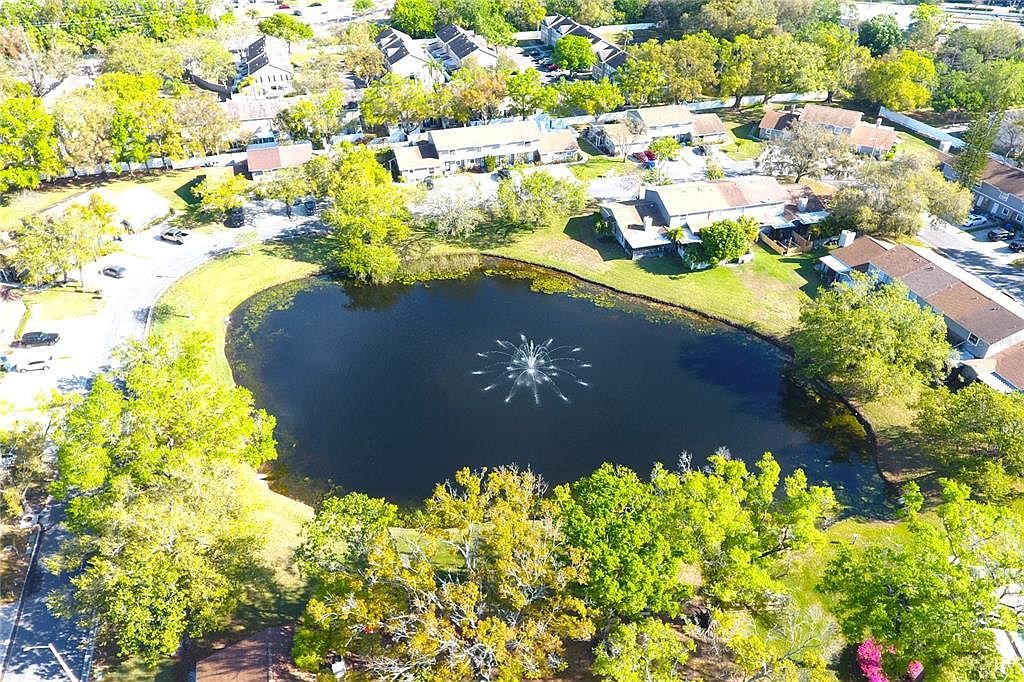 10131 Lake Oak Cir Tampa, FL 33624  | New build