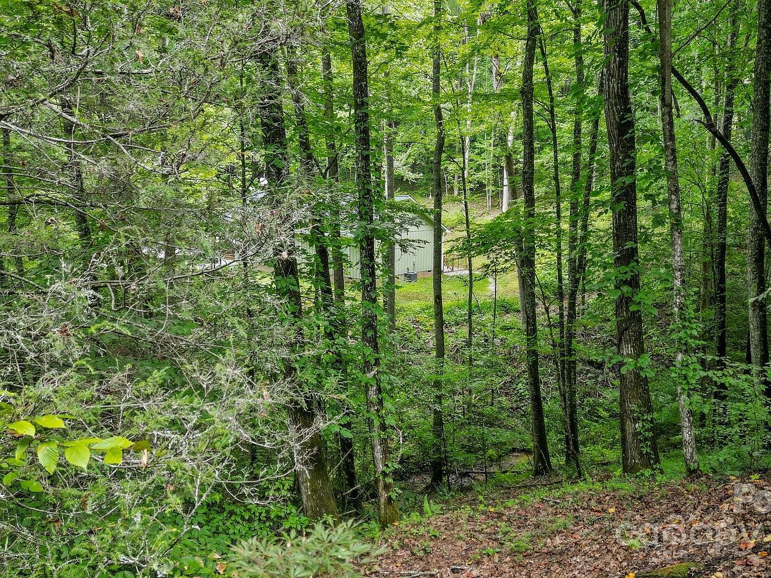 45 Pinecrest Dr Franklin, NC 28734  | Single Family