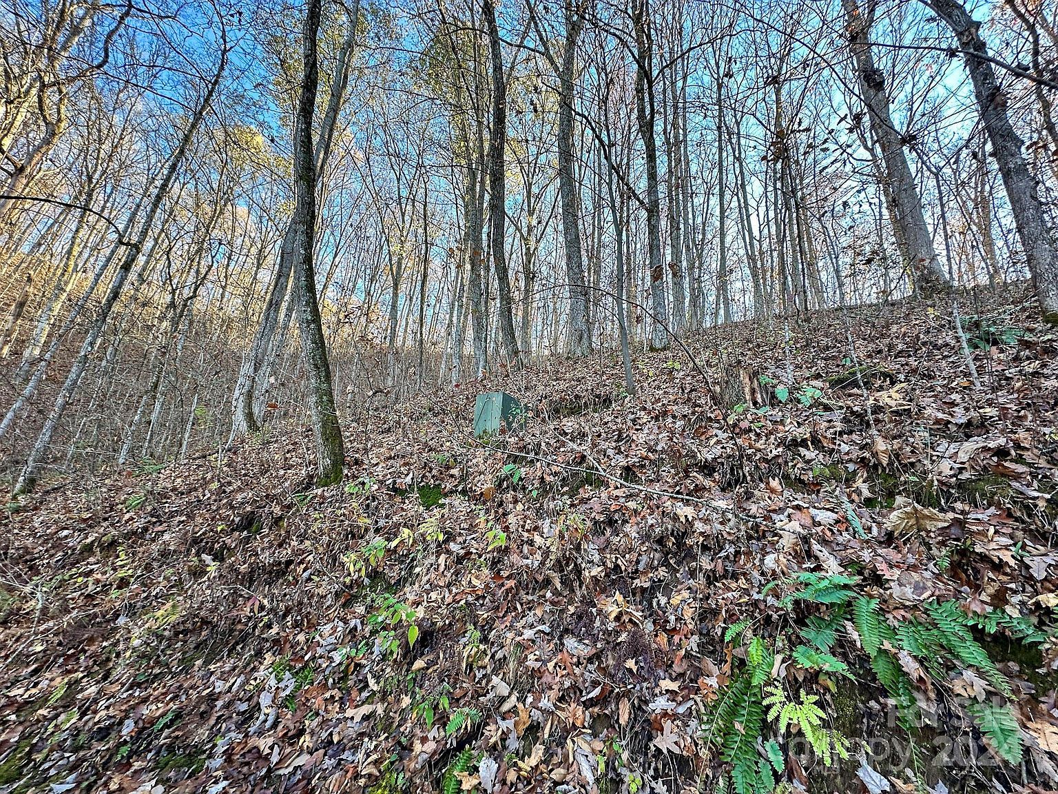 383 Blue Mist Mountain Rd Whittier, NC 28789  | Single Family