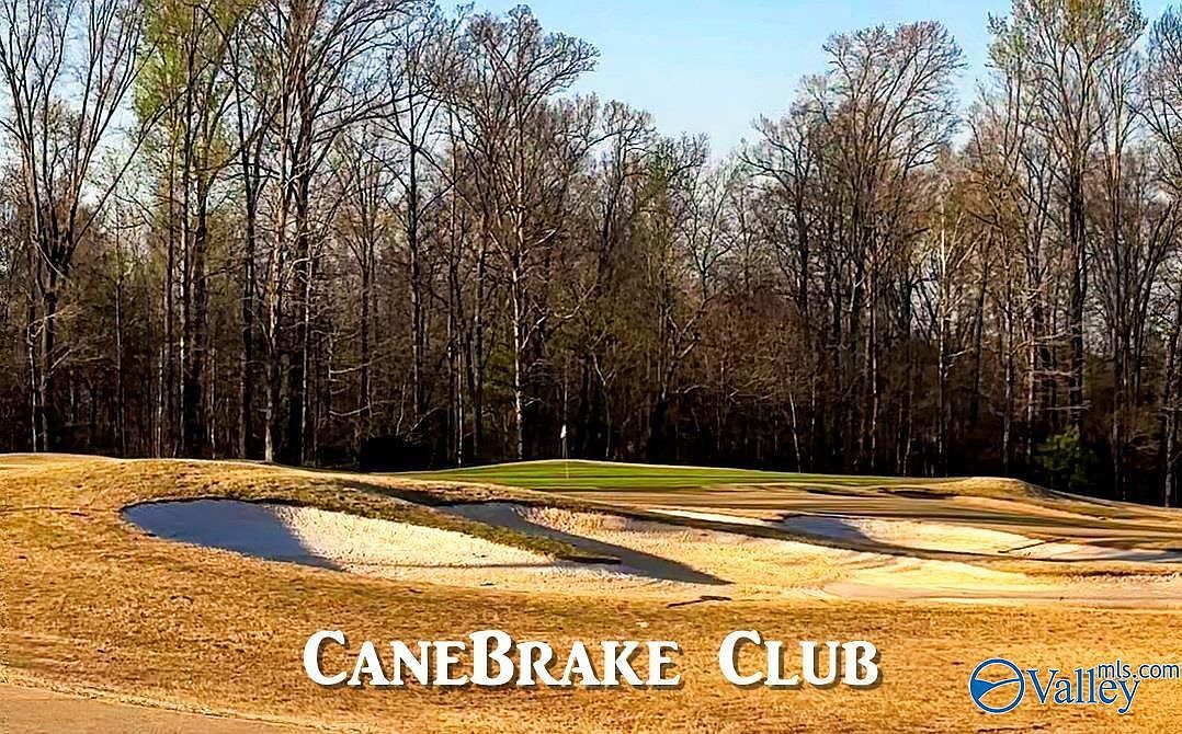 14511 London Ln Athens, AL 35613  | Single Family