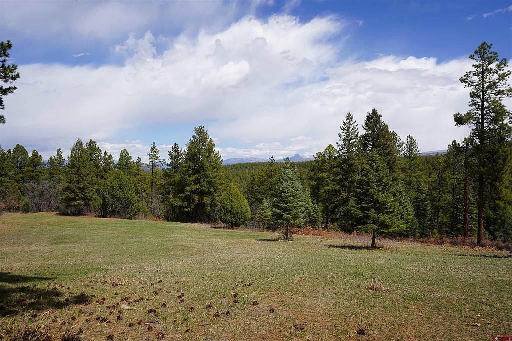 473 N Black Bear Pl Pagosa Springs, CO 81147  | Single Family