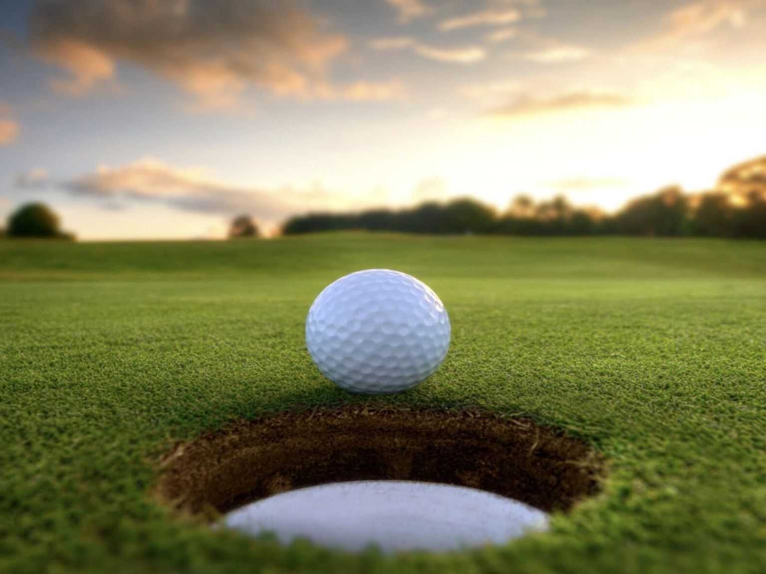 34 Castle Pines Dr Jackson, TN 38305  | Single Family