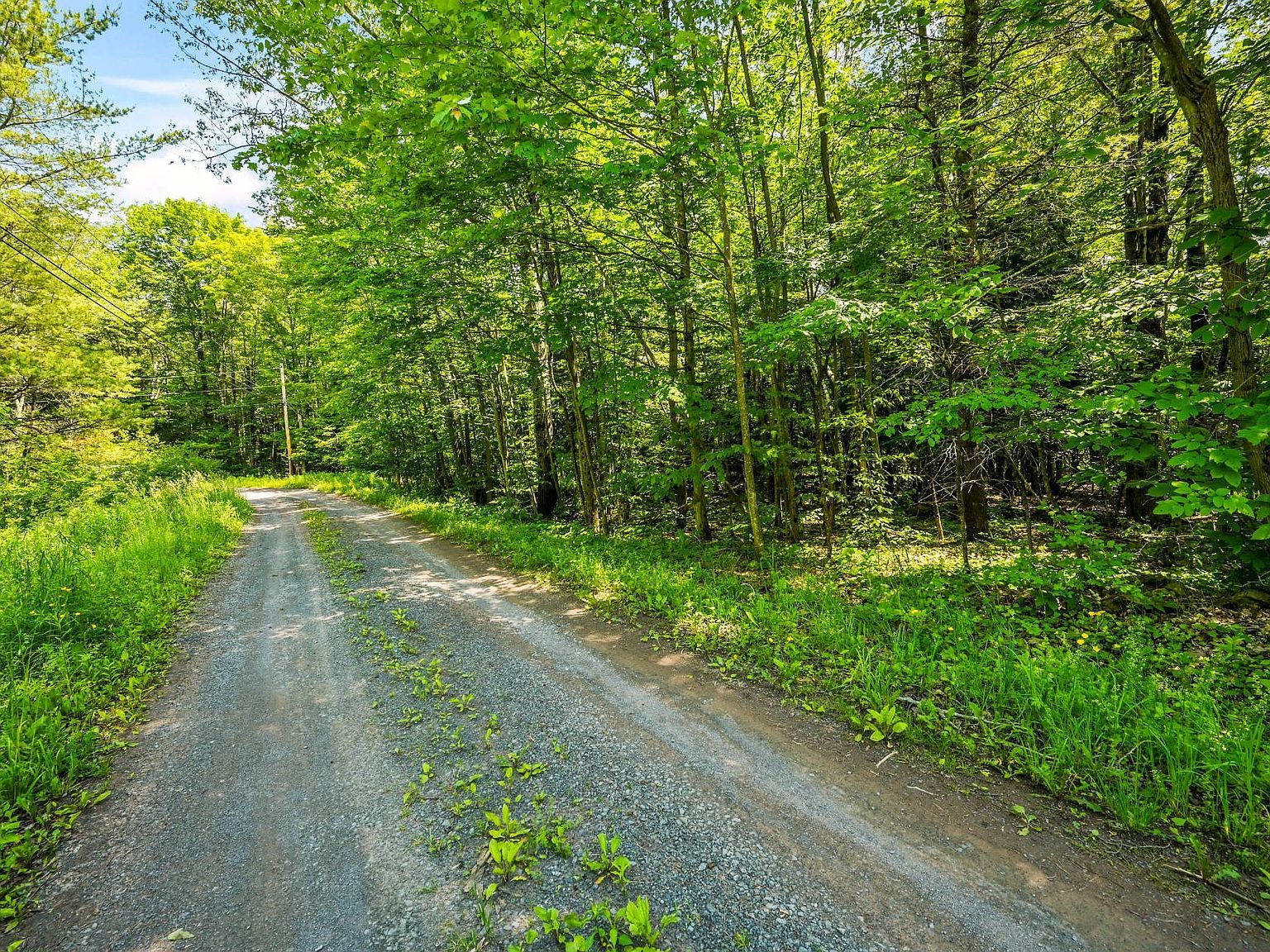 0 Deer Path Stamford, NY 12167  | Land/Lot