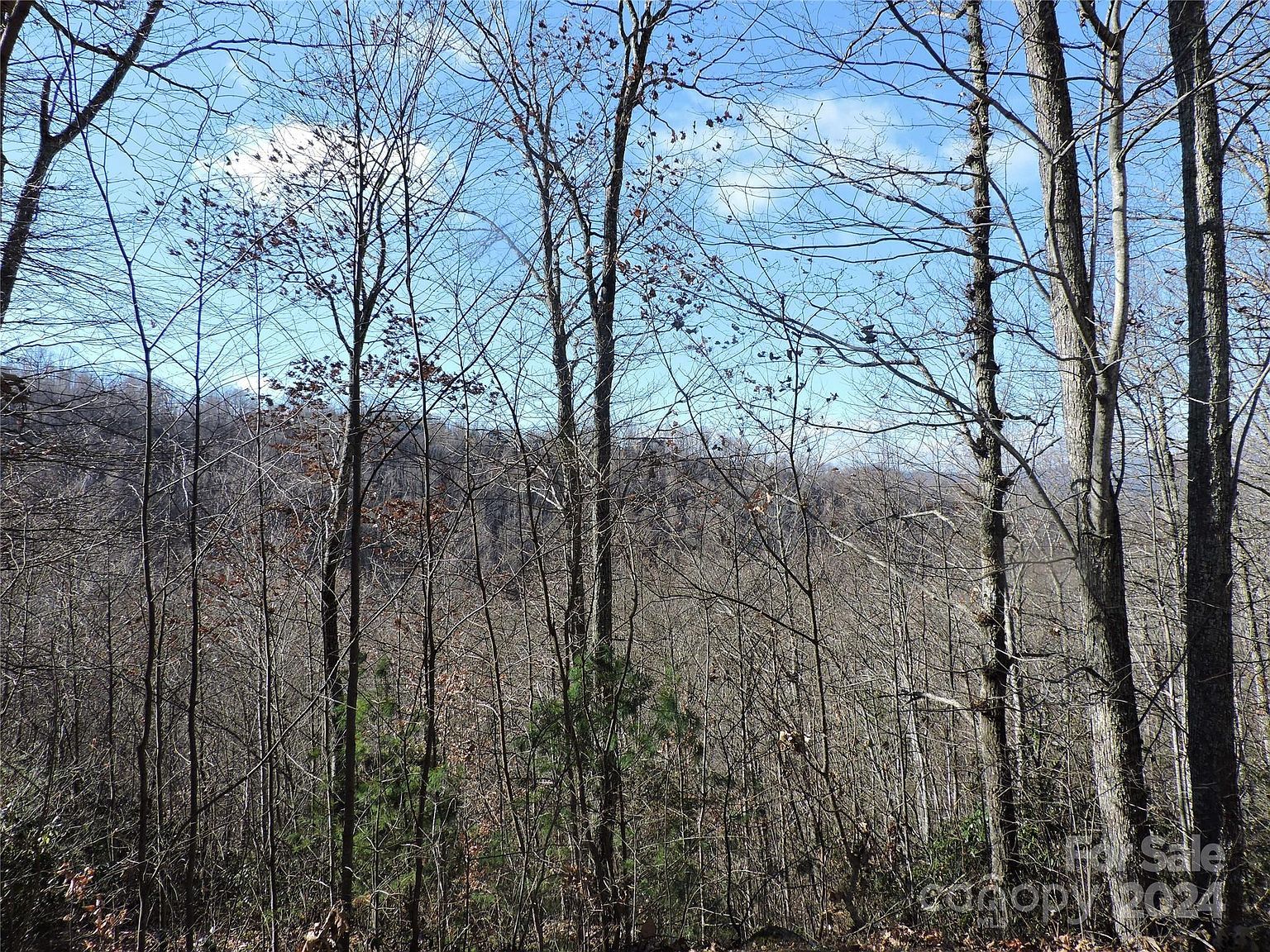 15 Mountain Heritage Hs Rd Burnsville, NC 28714  | Land/Lot