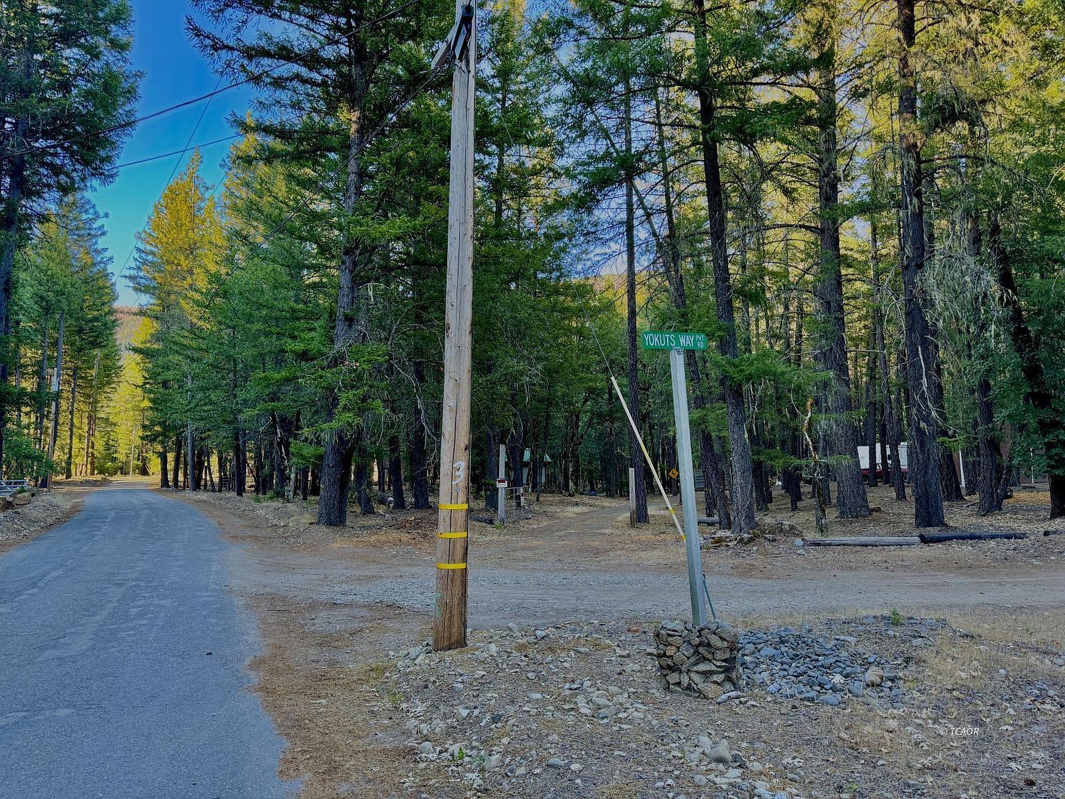 114 Rodeo Way #D Bridgeville, CA 95526  | Single Family