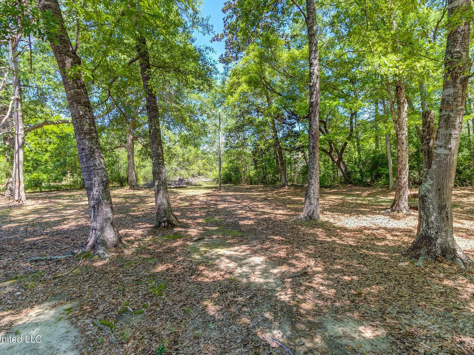 12522 Wolf River Rd Gulfport, MS 39503  | Single Family