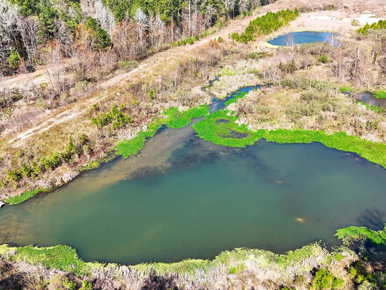 Rim Rock Rd LOT 14 Huntsville, TX 77340  | Land/Lot