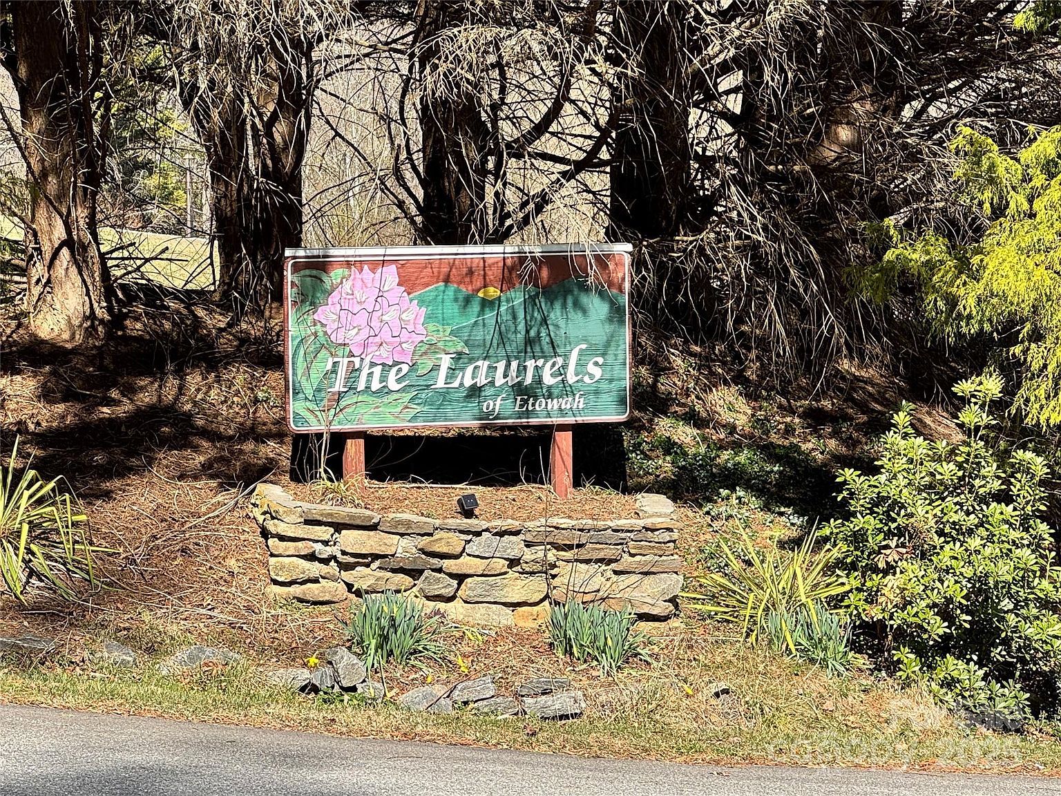 59 Allen Springs Rd Horse Shoe, NC 28742  | Single Family