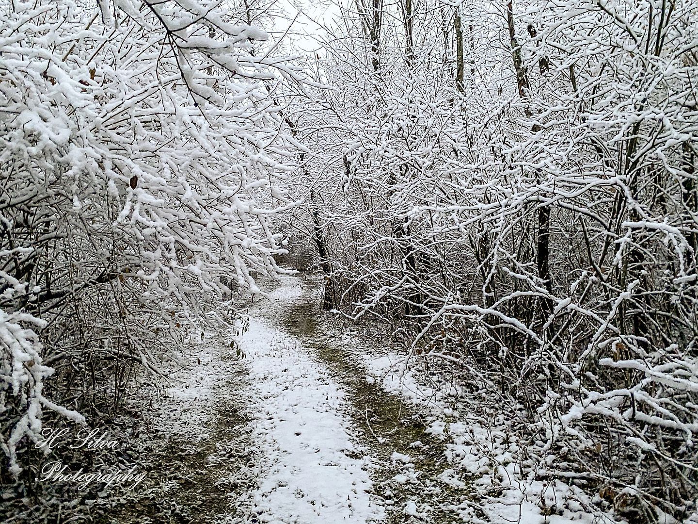 8106 Maple St Marengo, IL 60152  | Single Family