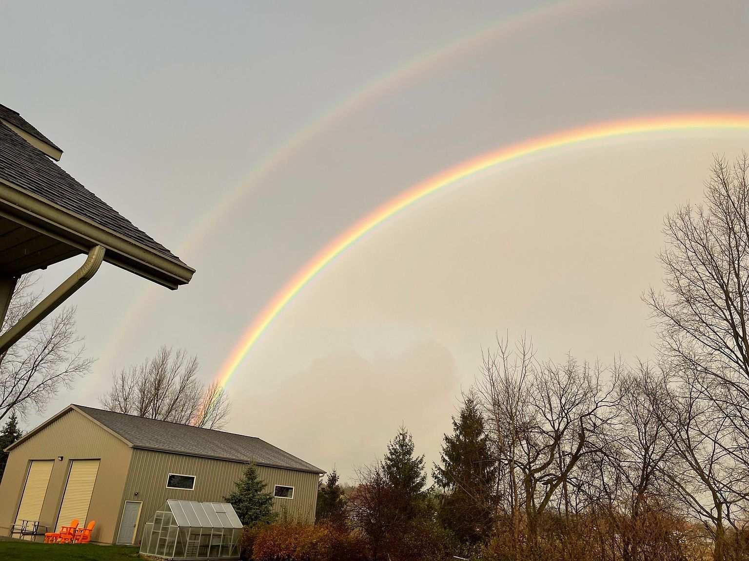 12250 Knoper Ct Allendale, MI 49401  | Single Family