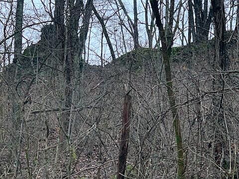 0 State Highway 599 Jeffersonville, KY 40337  | Land/Lot