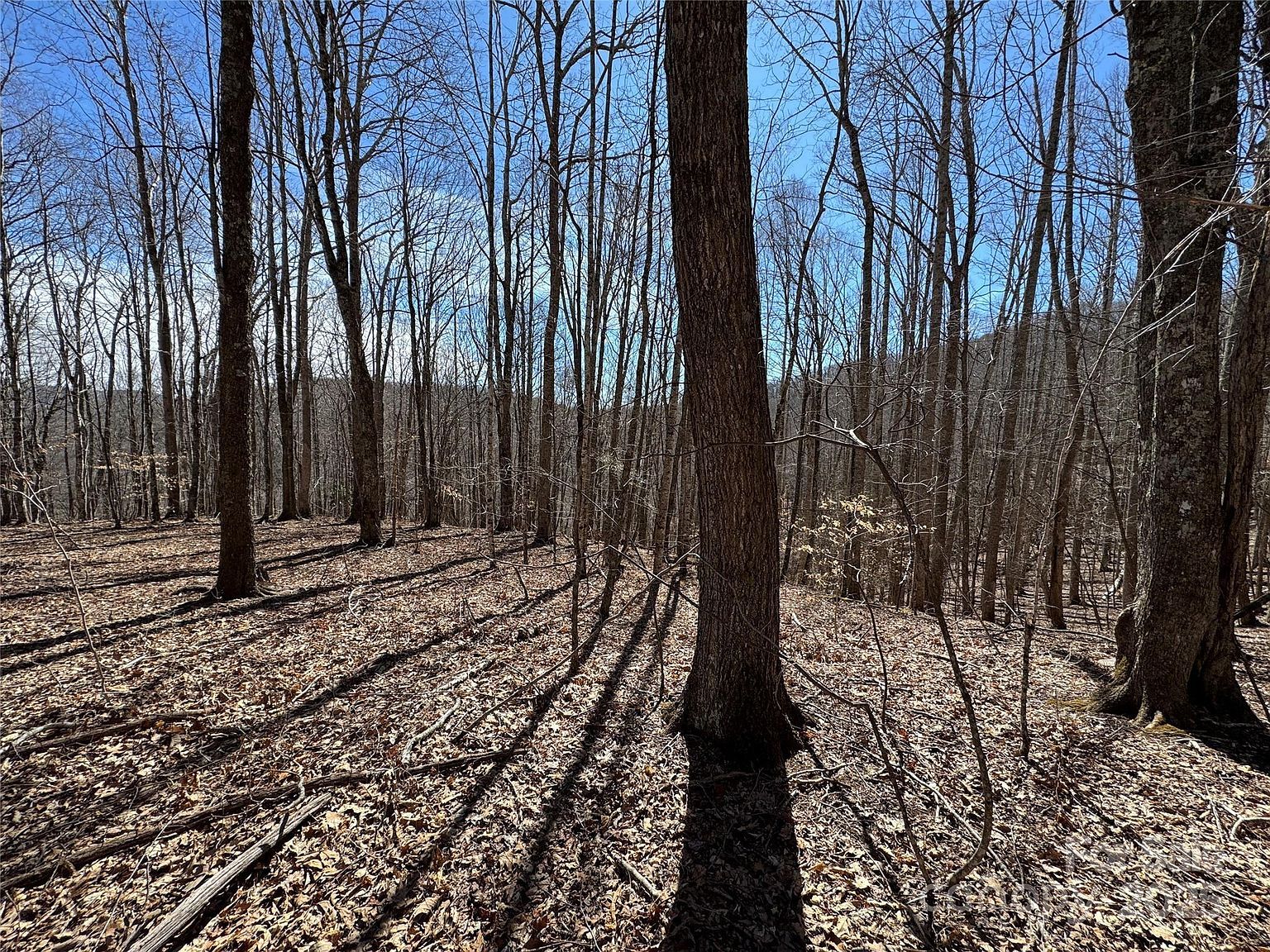 Doublehead Mountain Rd Newland, NC 28657 | Land/Lot