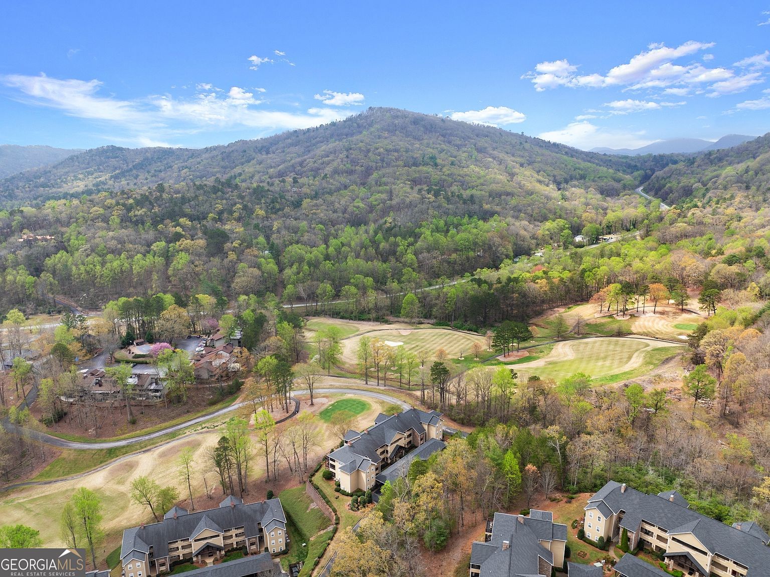 20 Gleneagle Ct UNIT 303A Clayton, GA 30525 | Condominium