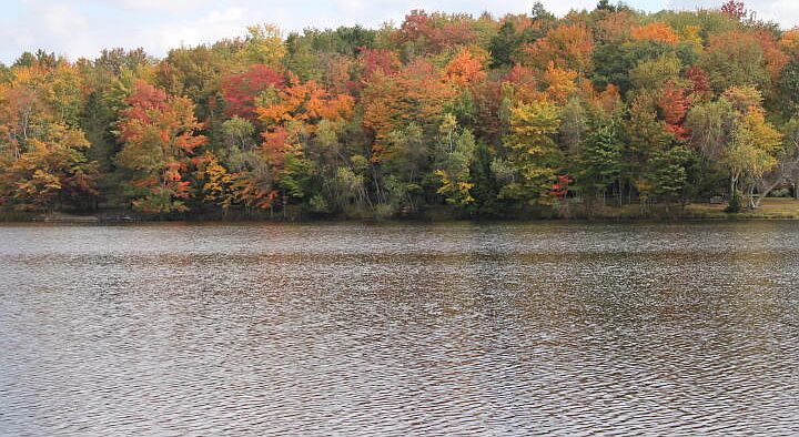 206 Pima Pl Pocono Lake, PA 18347 | Single Family