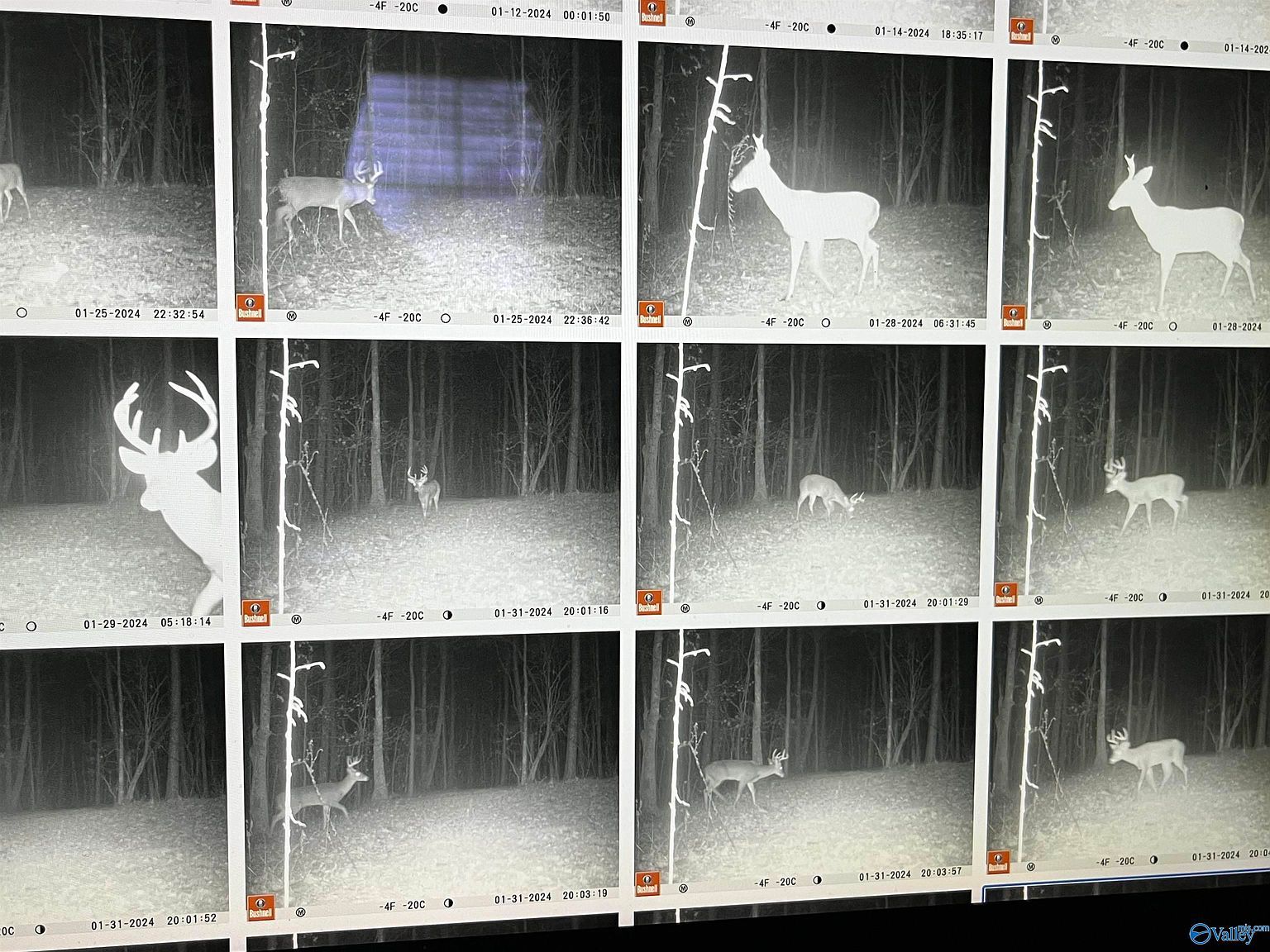 1596 Mountainboro Rd Boaz, AL 35956  | Single Family