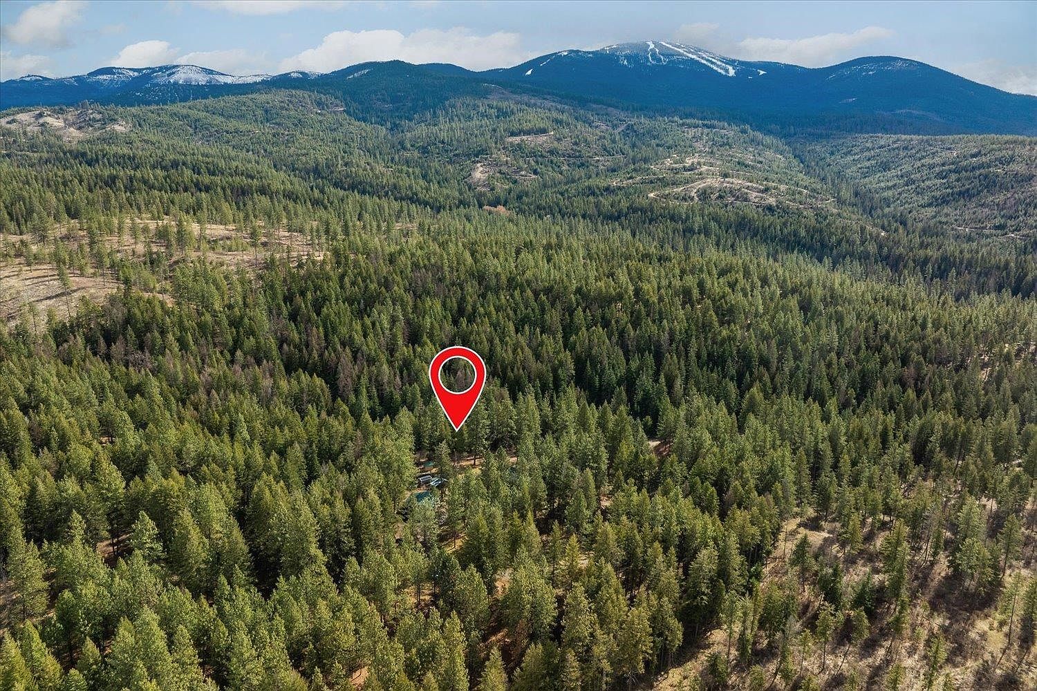 17321 E Blanchard Rd Elk, WA 99009  | Single Family