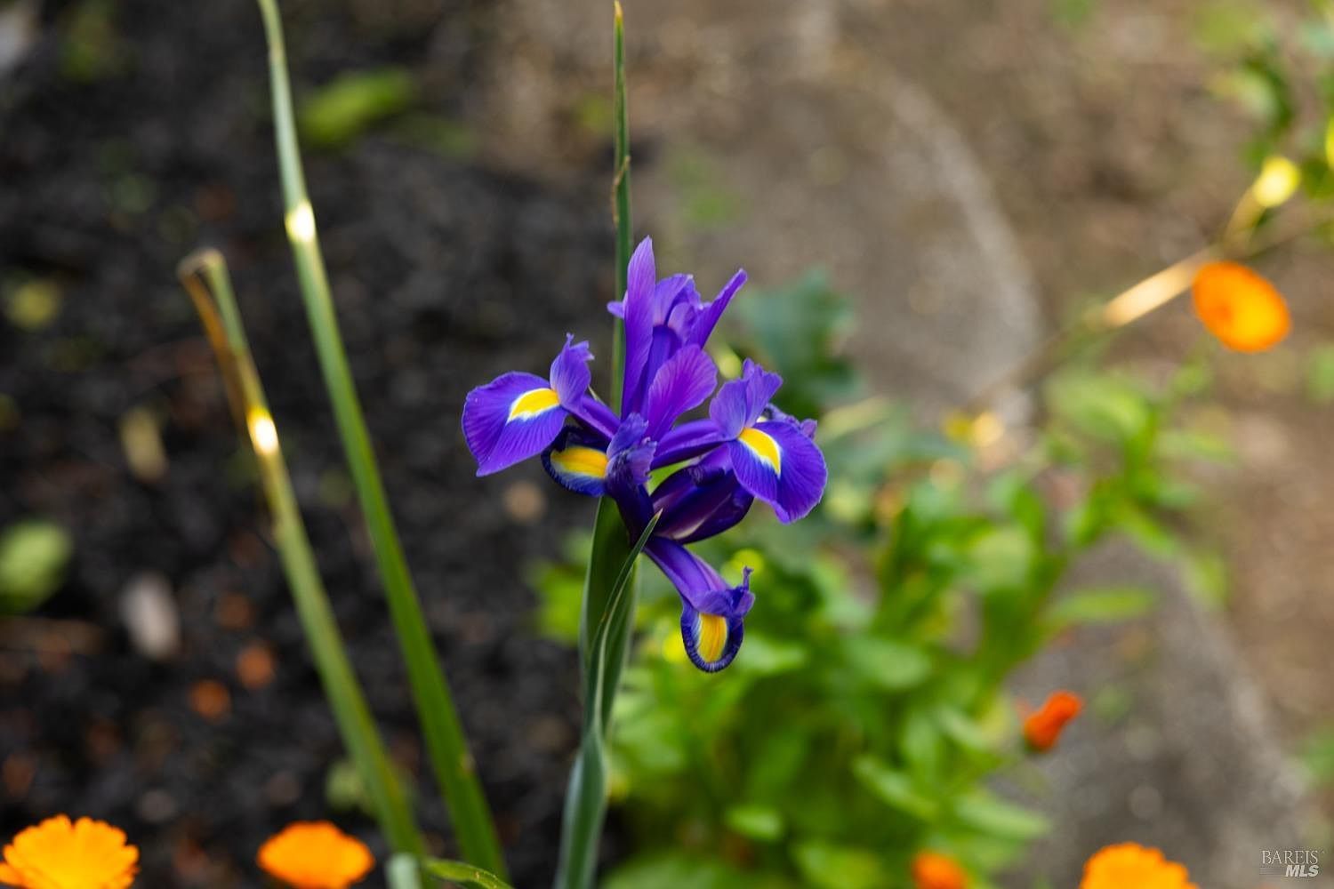 340 Kendrick Ln Vacaville, CA 95687 | Single Family