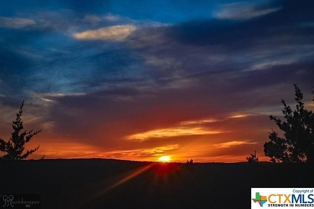 2270 County Road 3340 Kempner, TX 76539  | Single Family