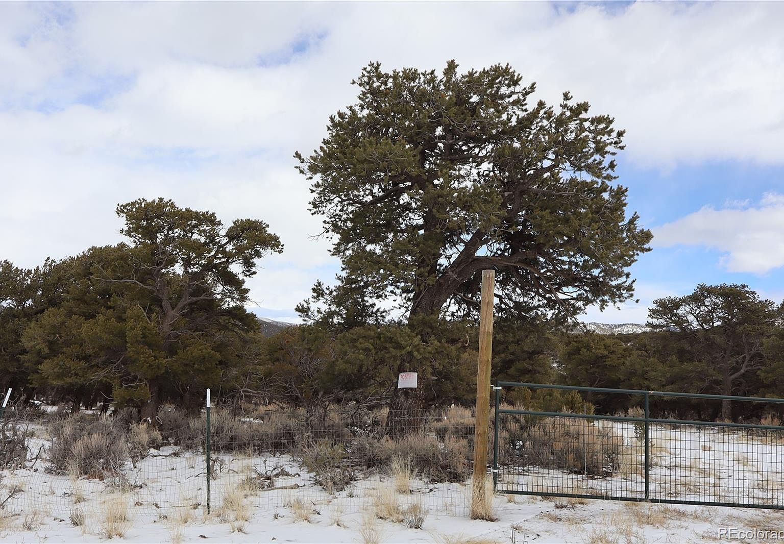 7302 Tiernan Fort Garland, CO 81133 | Single Family