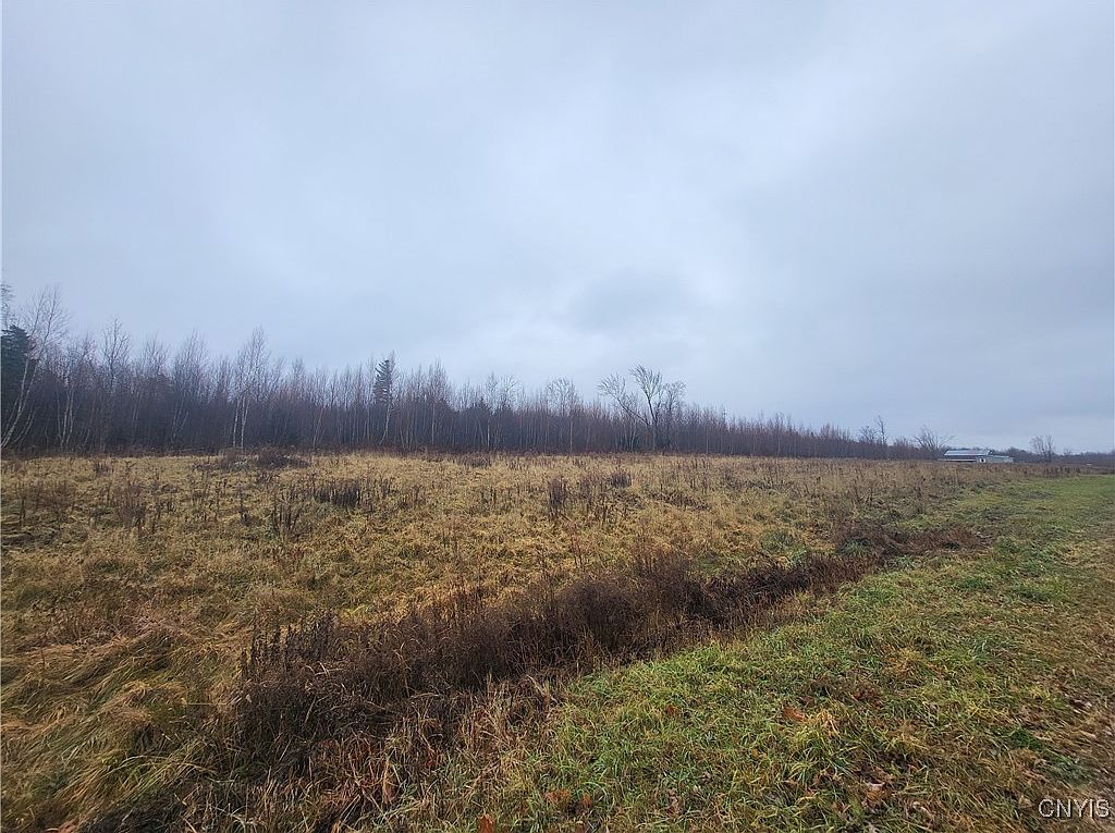 0 Ridge Rd Fine, NY 13639  | Land/Lot