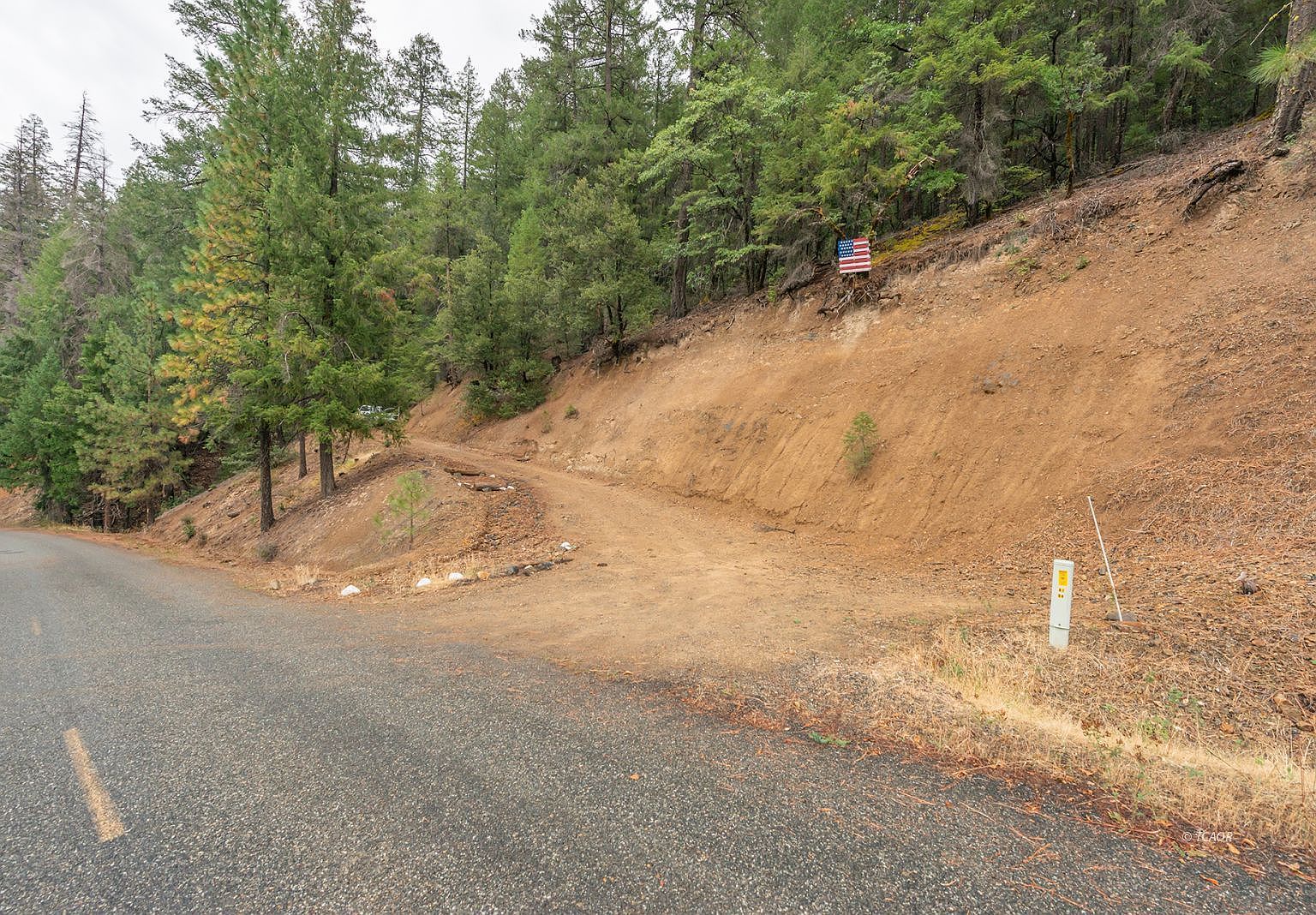 8341 E Side Rd Trinity Center, CA 96091  | Single Family