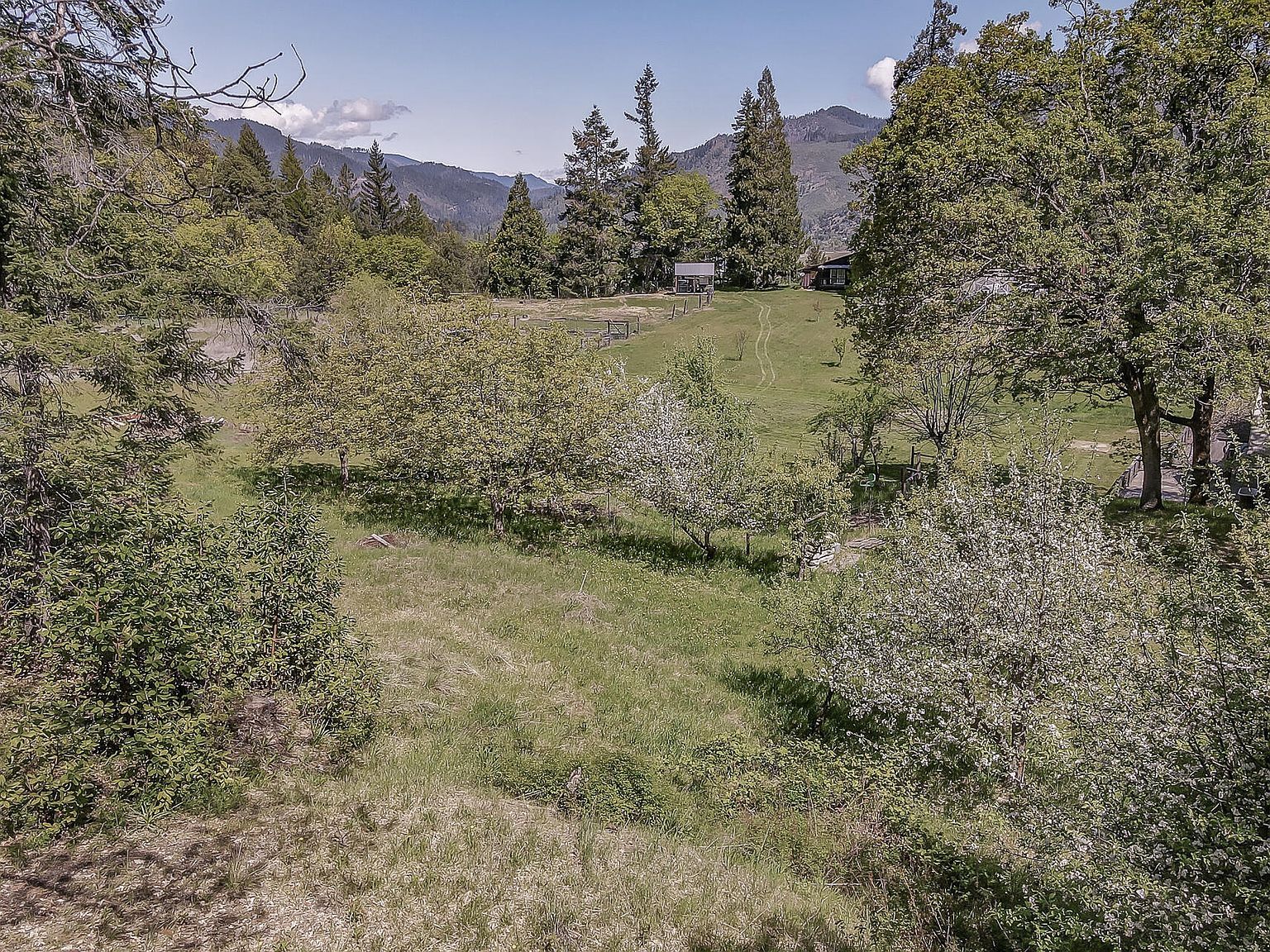 720 Pelletreau Ridge Rd Hyampom, CA 96046  | Single Family