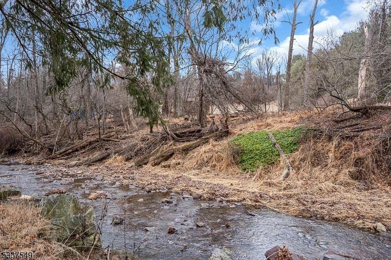 41 Cherryville Hollow Rd Flemington, NJ 08822  | Single Family