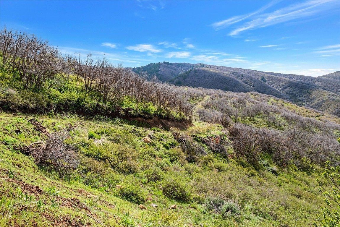 52 Tbd County Rd Steamboat Springs, CO 80487  | Land/Lot