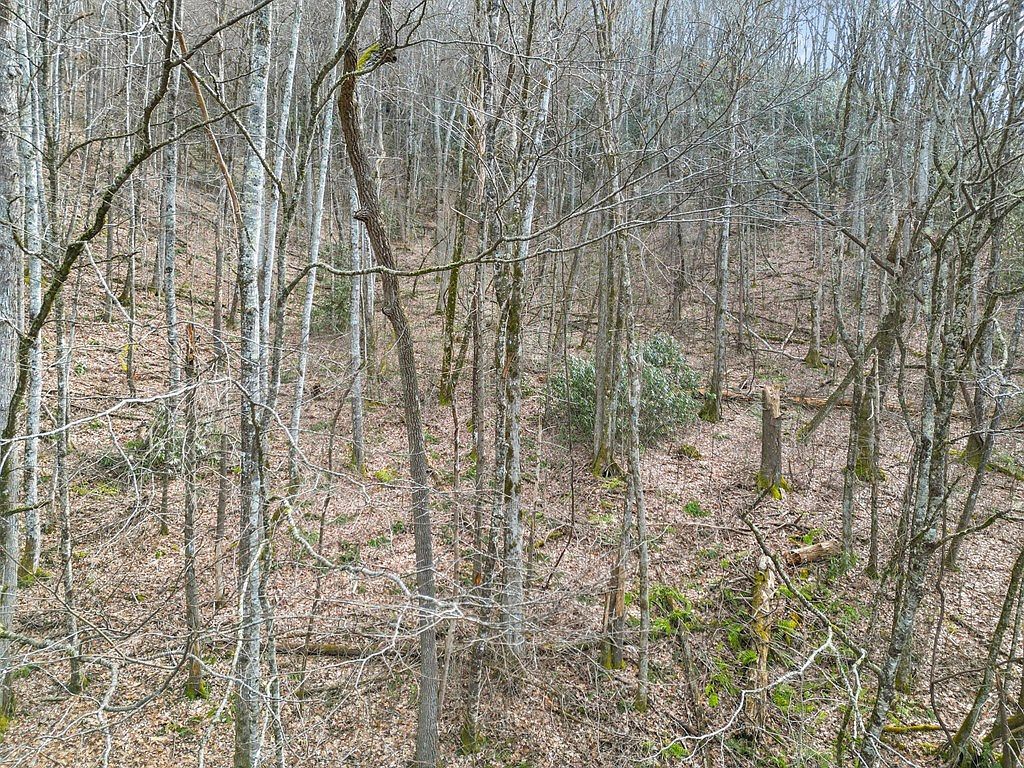 1824 Black Rock Rd Maggie Valley, NC 28751 | Land/Lot