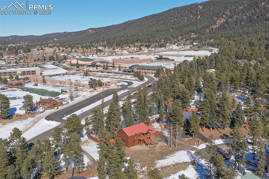 350 Panther Ct Woodland Park, CO 80863 | Single Family