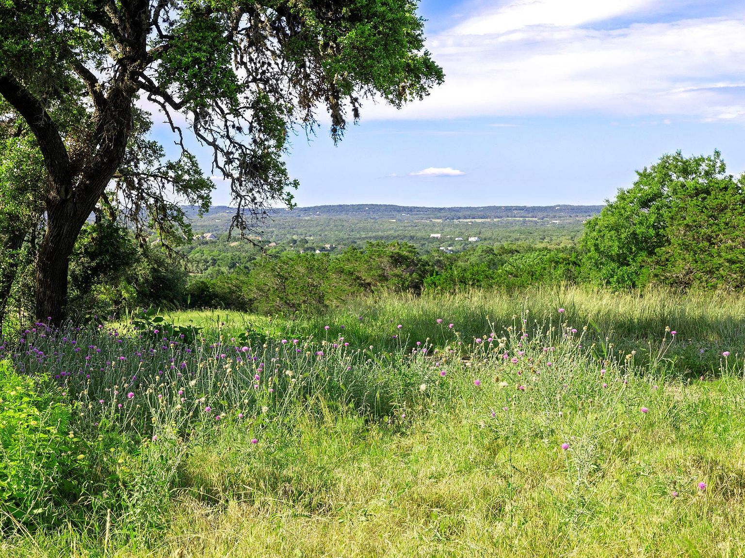 5 Shilo Cir Wimberley, TX 78676 - Thumbnail 5