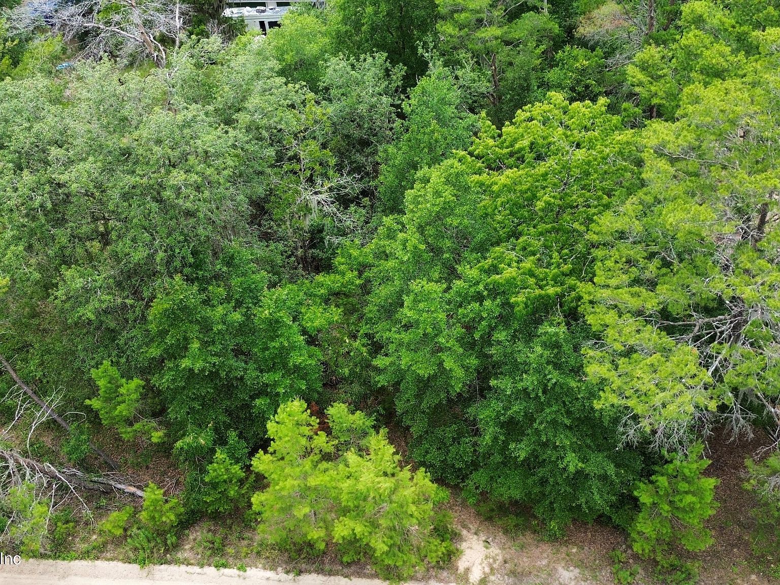 127 East Dr Florahome, FL 32140 - Thumbnail 5