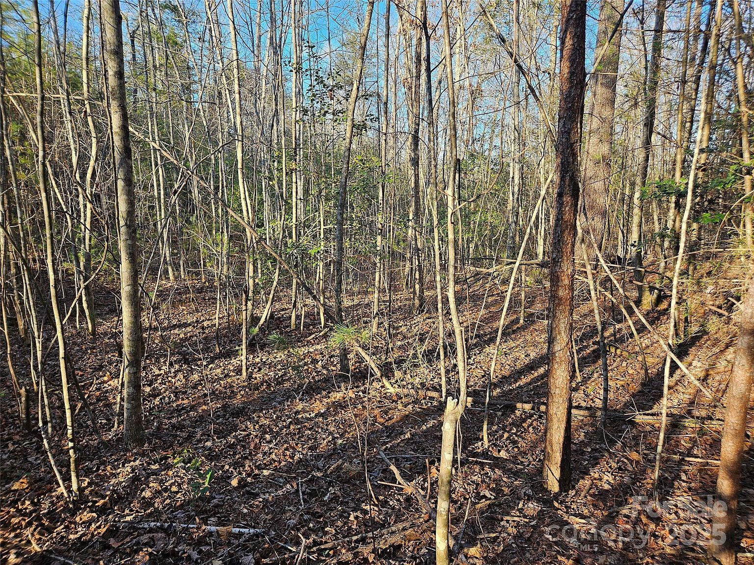 3163 Lake Dr #53 & 52 Morganton, NC 28655 - Thumbnail 5