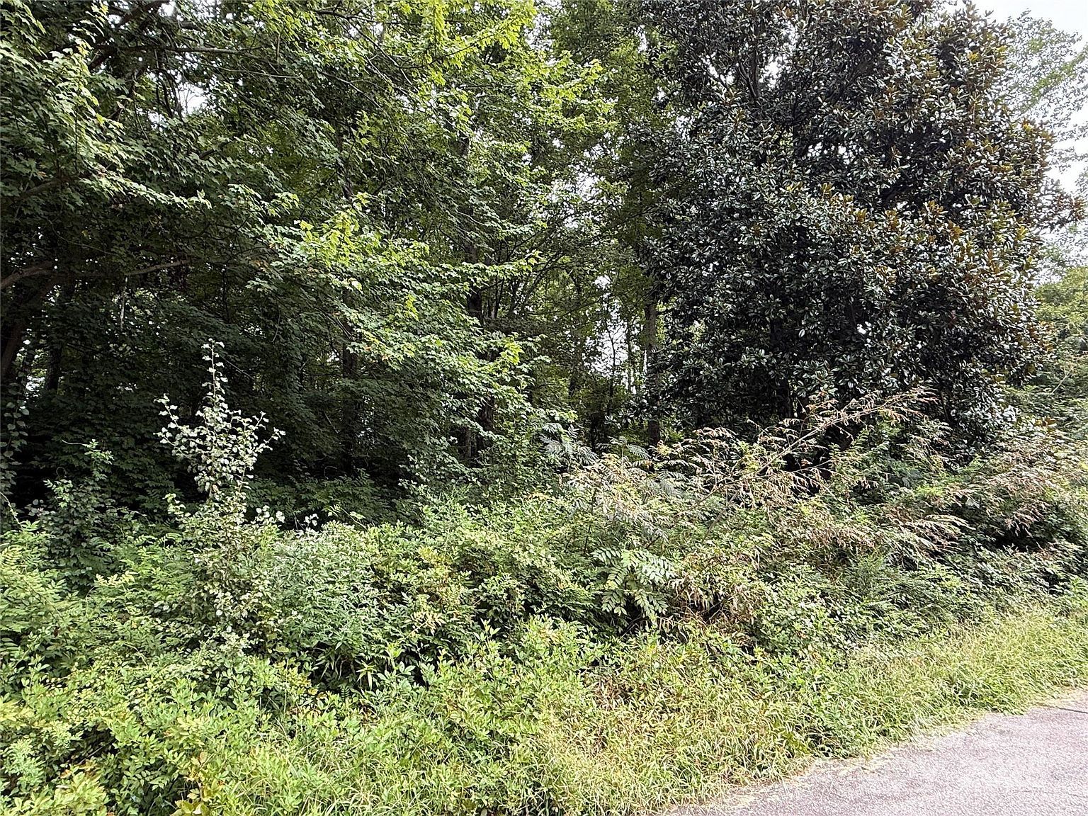 113-119 Byrd St Morganton, NC 28655 - Thumbnail 5