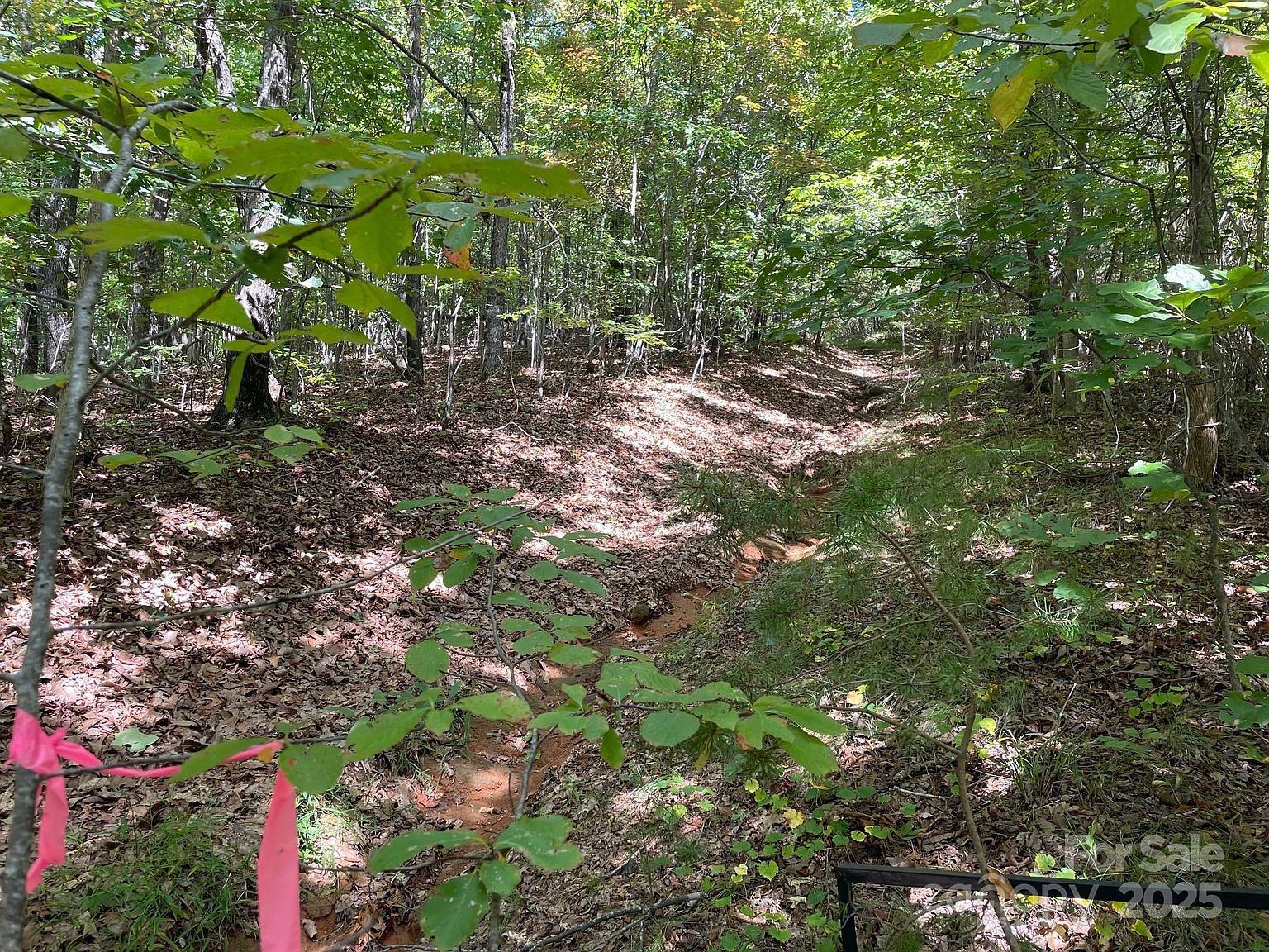 3901 High Peak Ter Valdese, NC 28690 - Thumbnail 5