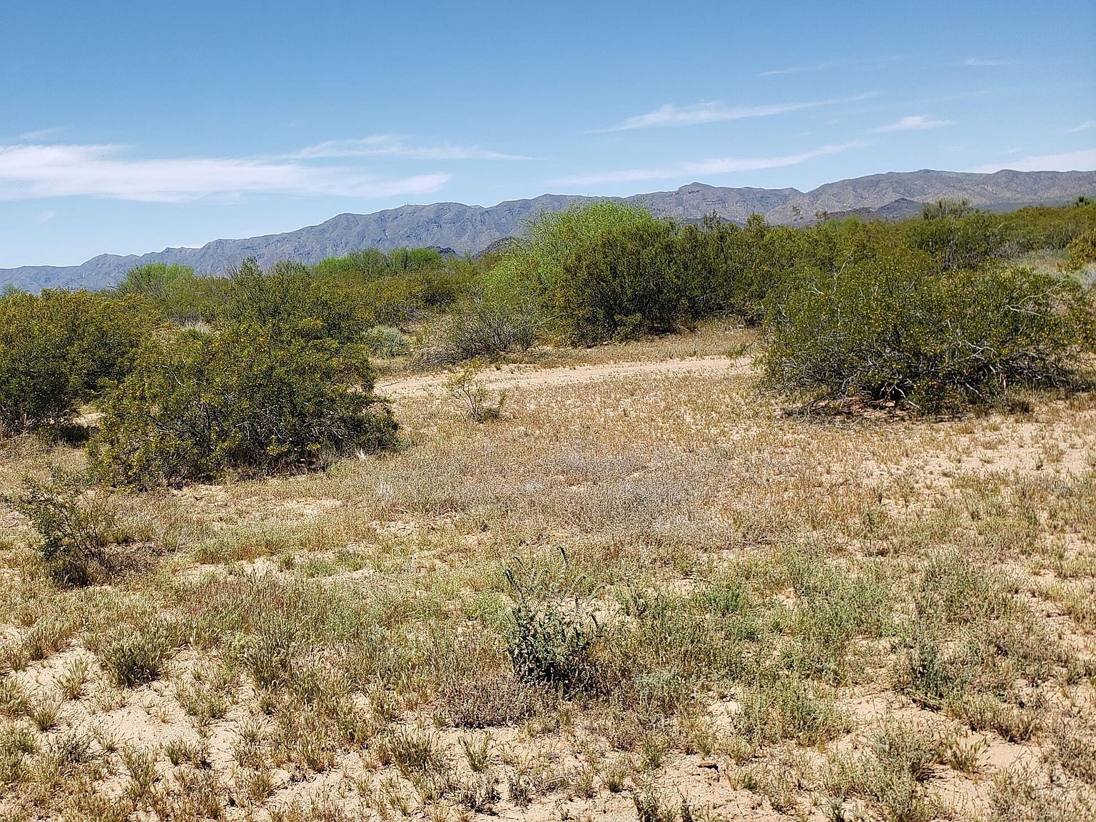 00XX Trezler Rd Aguila, AZ 85320  | Land/Lot