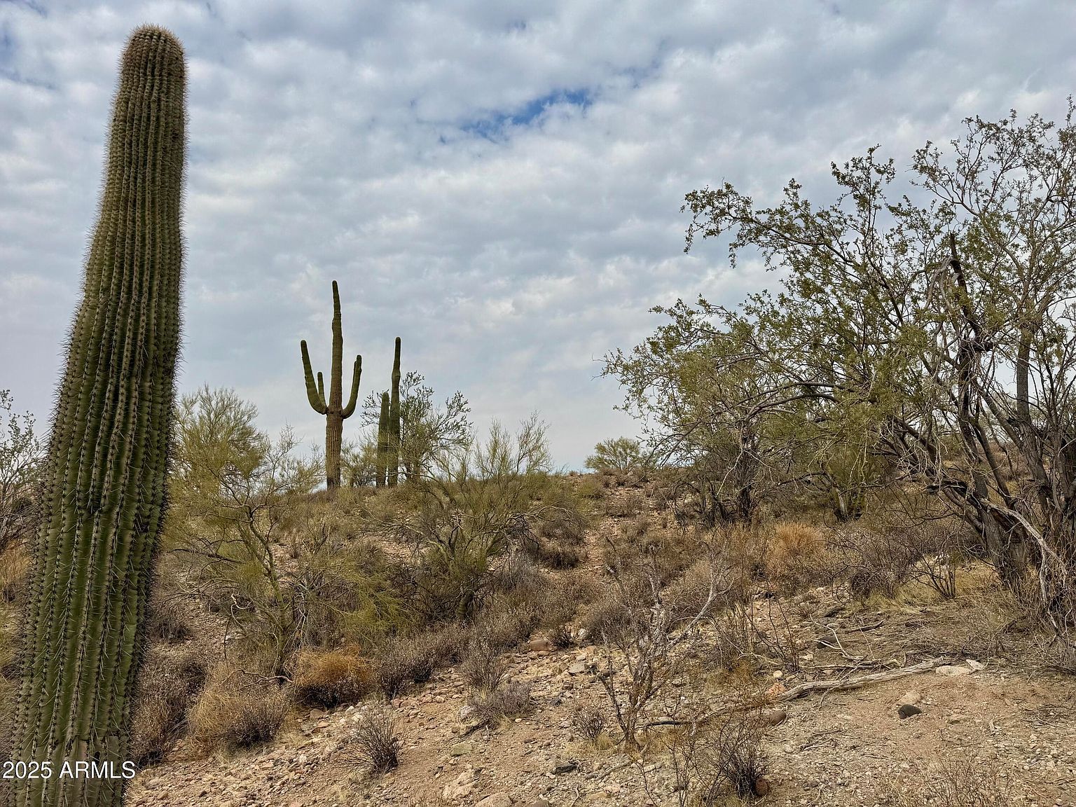 43925 Saguaro Blossom Ln Morristown, AZ 85342 - Thumbnail 5