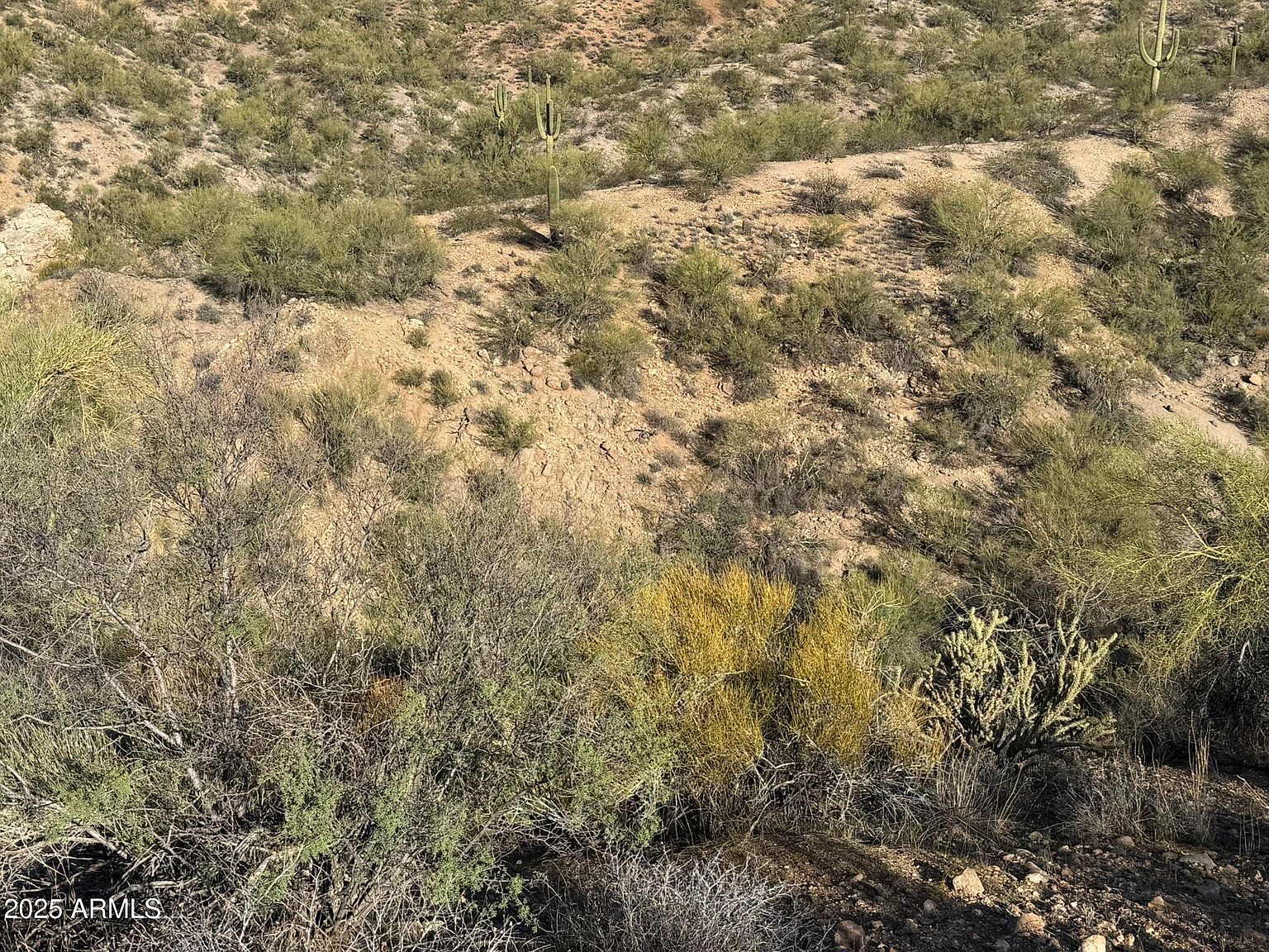 38000 S Blue Tank Trl Wickenburg, AZ 85390 - Thumbnail 5