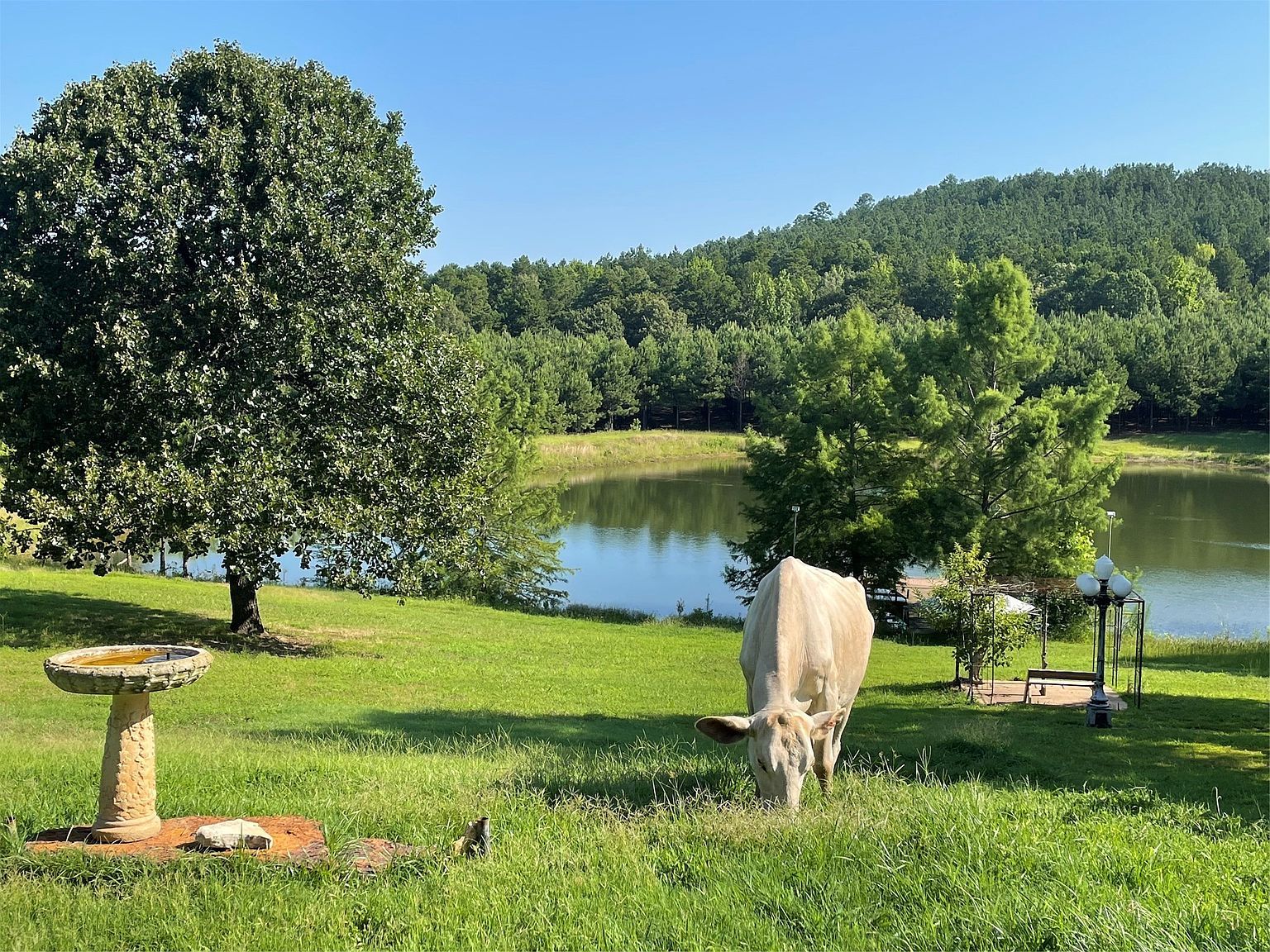 140 County Road 2242 Daingerfield, TX 75638 - Thumbnail 5