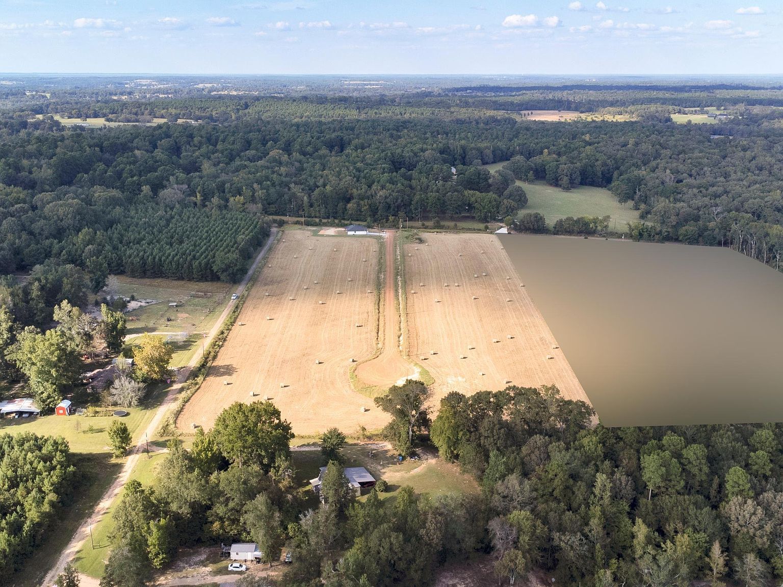 829 Private Road 3168 Gilmer, TX 75645 - Thumbnail 5