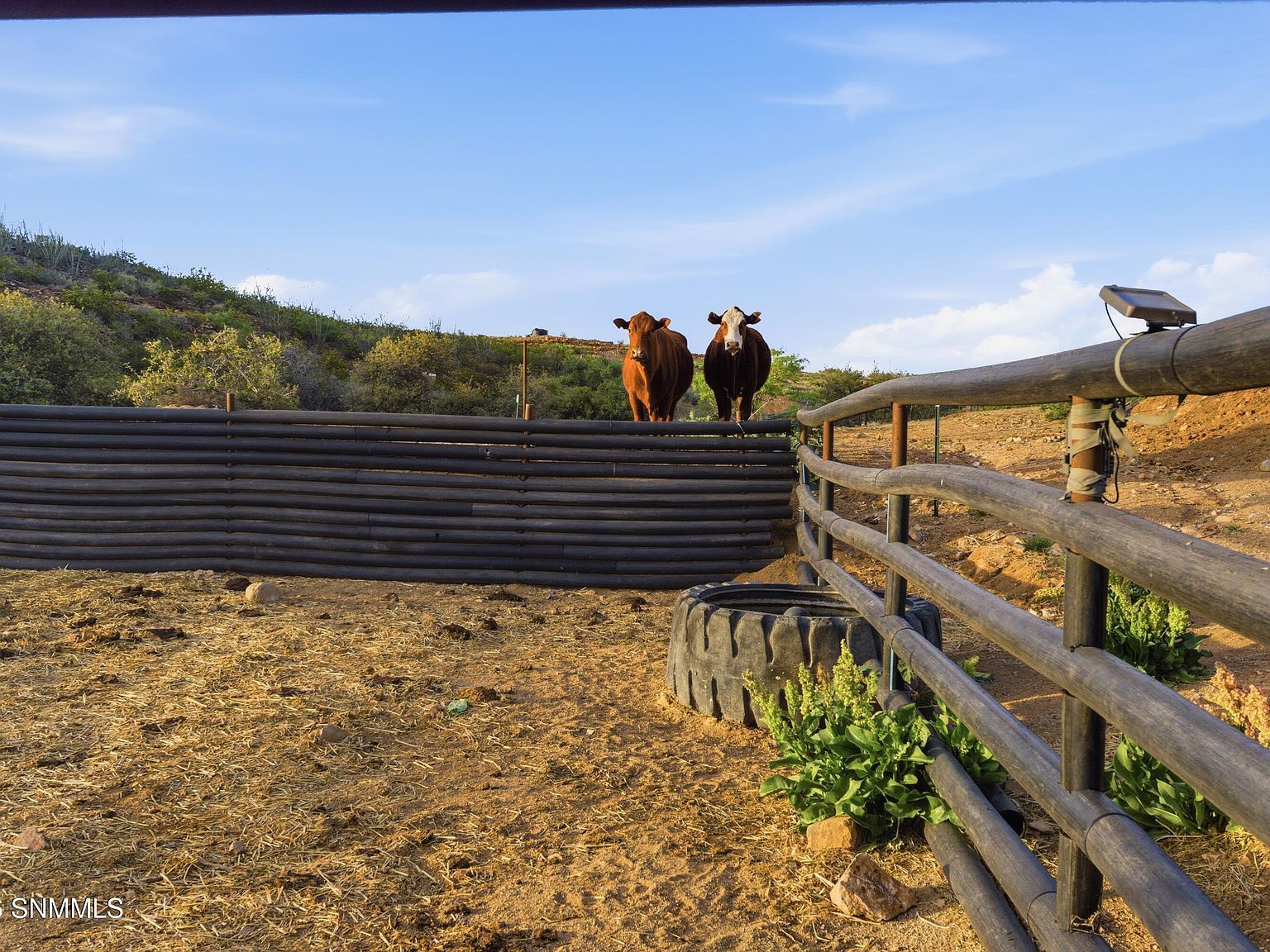 6100 County Road 87 Las Cruces, NM 88011 - Thumbnail 5