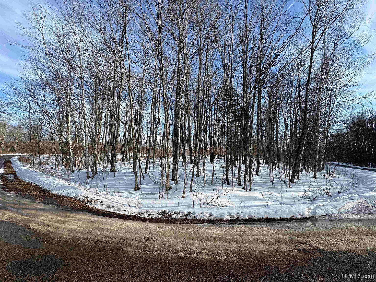 LOT 64 Little Deer Rd Iron River, MI 49935 - Thumbnail 5