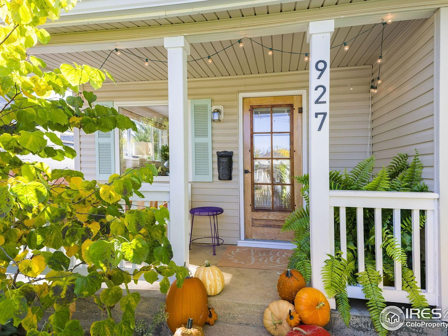 927 5th St Berthoud, CO 80513 - Thumbnail 5